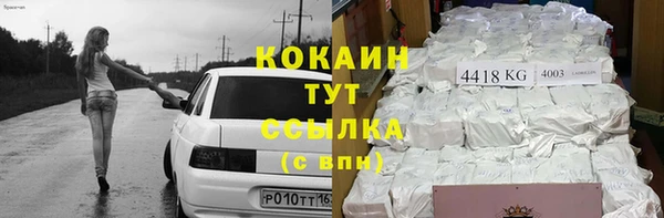тгк Семёнов