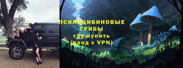 сатива Свободный