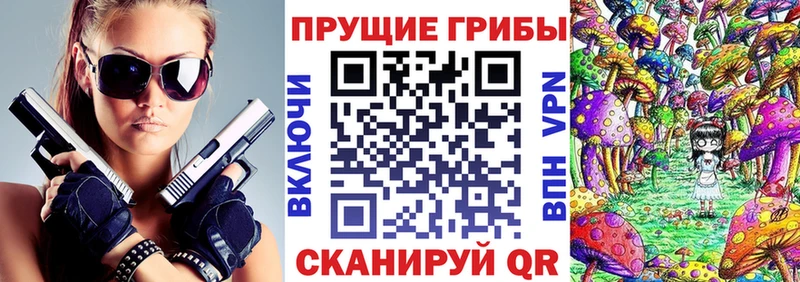 МЕГА tor Строитель Галлюциногенные грибы мицелий
