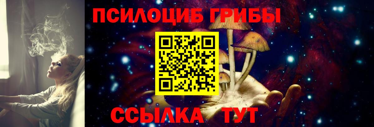 Строитель  Галлюциногенные грибы Psilocybine cubensis  Вход с VPN  Псилоцибиновые грибы мухоморы 